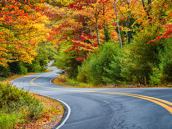 An empty road, winding through a forested area during fall, surrounded by yellow, red, orange, and green-leafed trees.